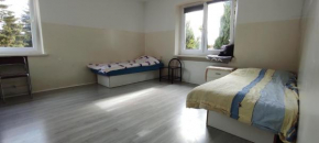 Adam rooms